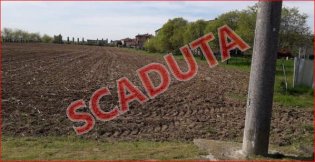 terreno agricolo in vendita a Bagnolo San Vito in zona San Biagio