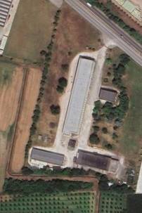 locale commerciale in vendita a Bozzolo