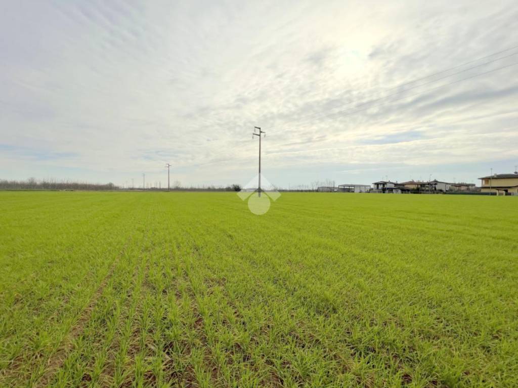 terreno agricolo in vendita a Canneto sull'Oglio