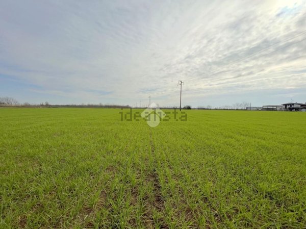 terreno edificabile in vendita a Canneto sull'Oglio