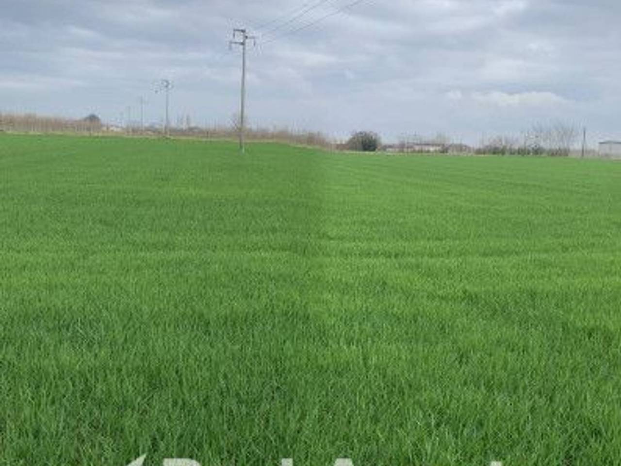 terreno edificabile in vendita a Canneto sull'Oglio