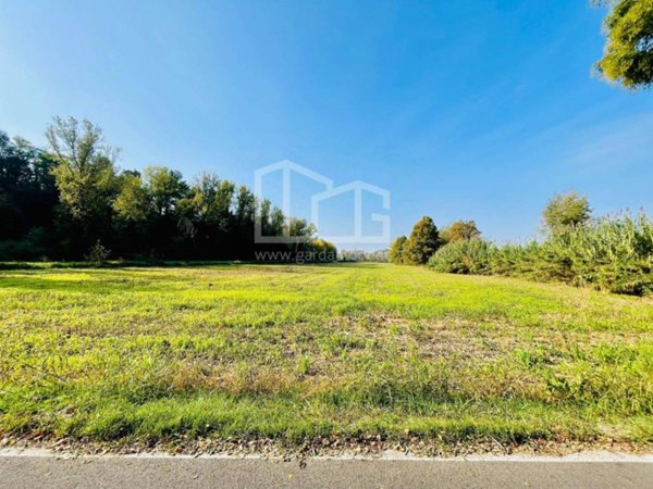 terreno agricolo in vendita a Casalmoro
