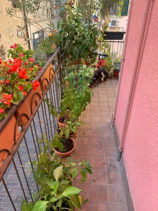 appartamento in vendita a Casalmoro