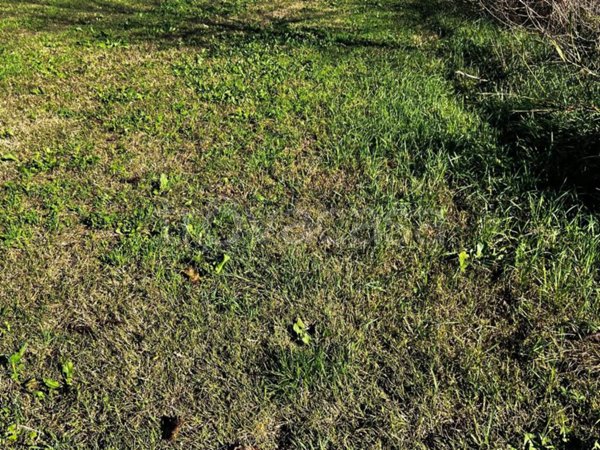 terreno agricolo in vendita a Casalmoro