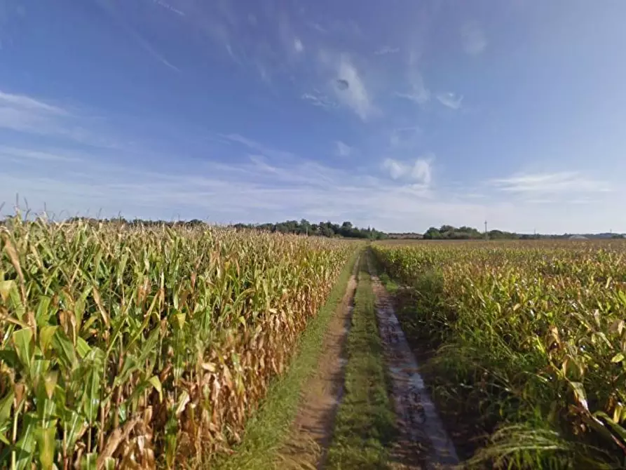 terreno agricolo in vendita a Casalmoro