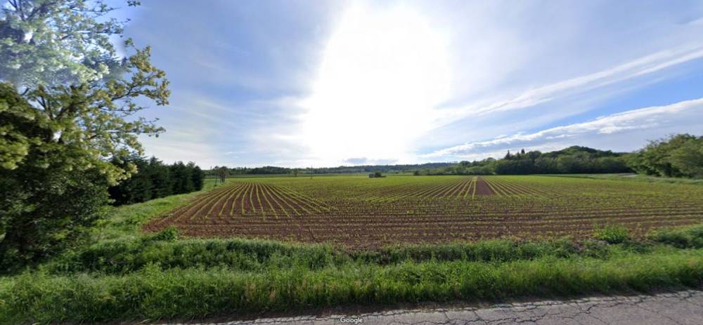 terreno agricolo in vendita a Casalmoro