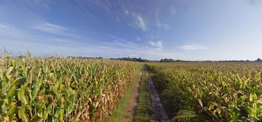 terreno agricolo in vendita a Casalmoro