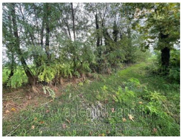 casa indipendente in vendita a Casalromano in zona Fontanella Grazioli