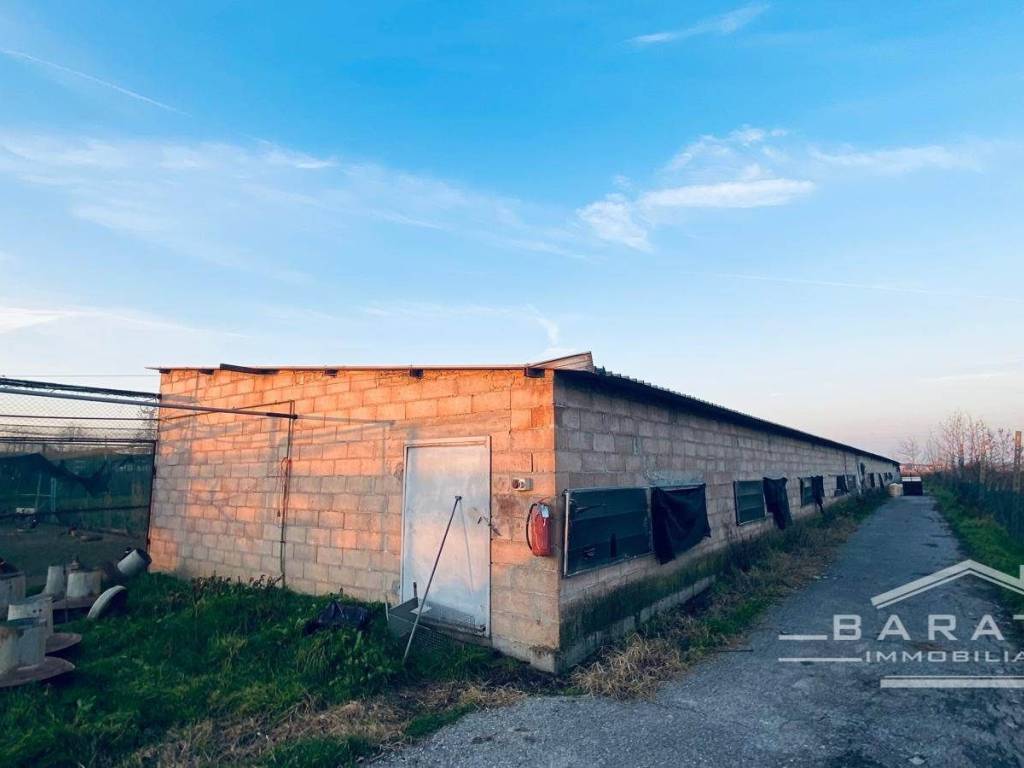 terreno agricolo in vendita a Castelbelforte