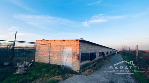 terreno agricolo in vendita a Castelbelforte