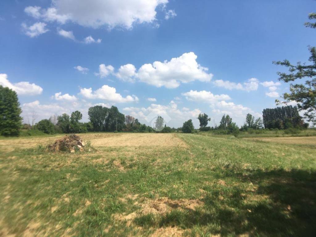 terreno agricolo in vendita a Castelbelforte