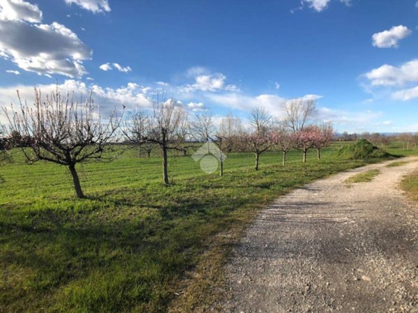 terreno agricolo in vendita a Castelbelforte