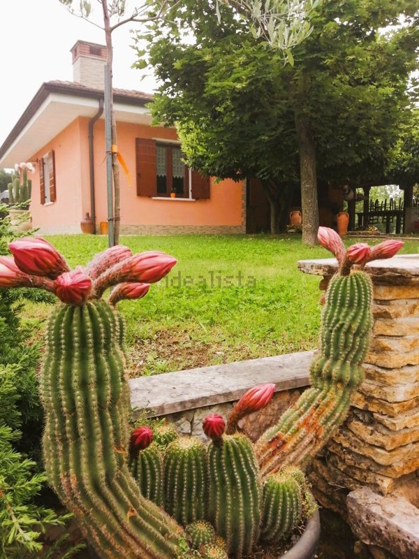 casa indipendente in vendita a Castel d'Ario