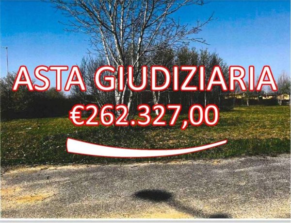 terreno agricolo in vendita a Castel d'Ario