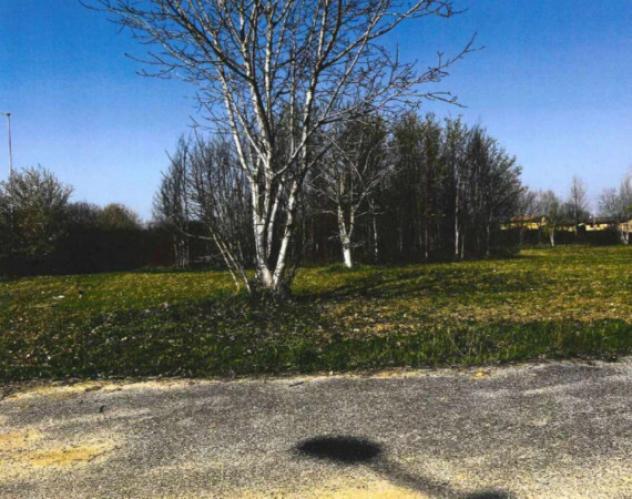 terreno agricolo in vendita a Castel d'Ario