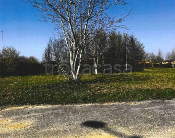 terreno agricolo in vendita a Castel d'Ario