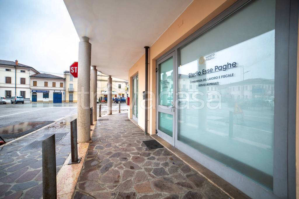 immagine annuncio 0 di 15