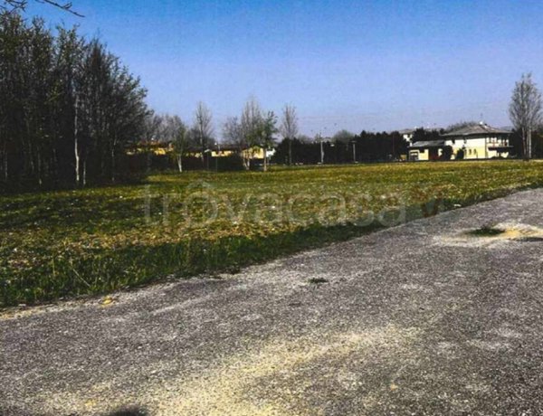 terreno agricolo in vendita a Castel d'Ario