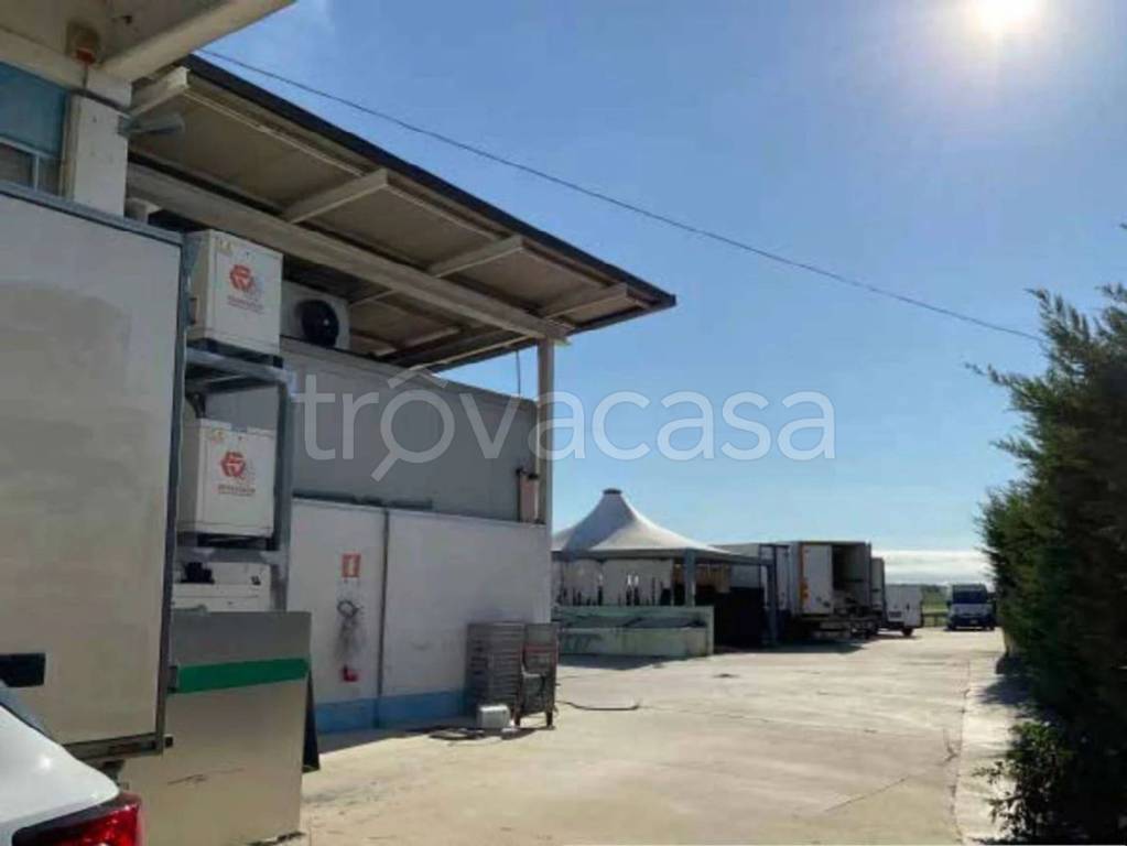 locale commerciale in vendita a Castel d'Ario