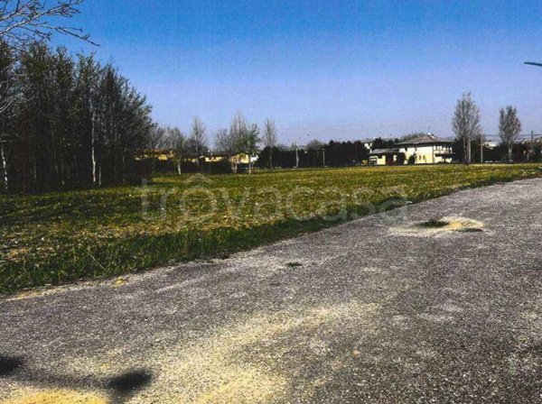 terreno agricolo in vendita a Castel d'Ario