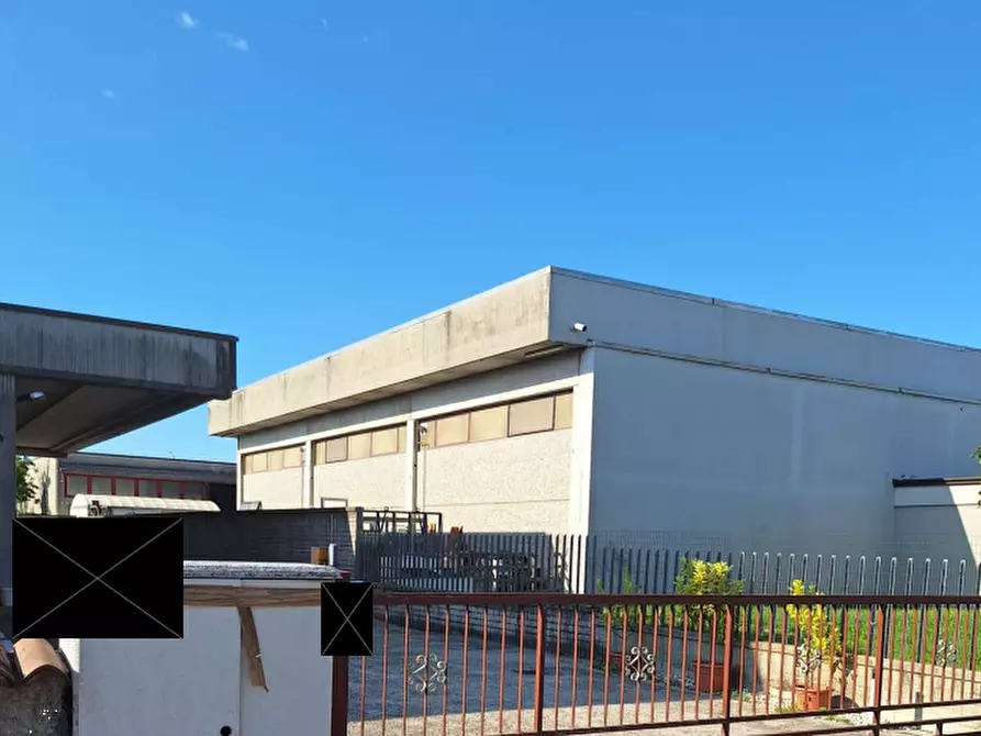 esavano in vendita a Castel Goffredo