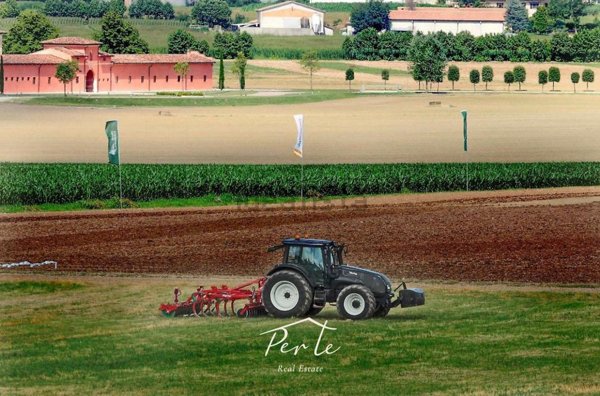 terreno agricolo in vendita a Castellucchio in zona Gabbiana