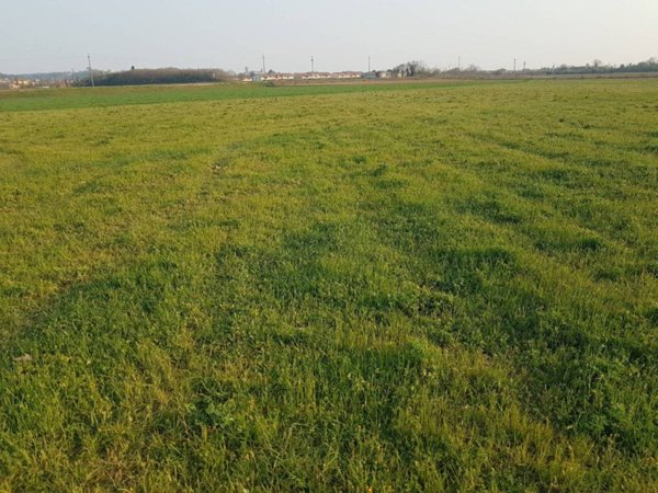 terreno agricolo in vendita a Castiglione delle Stiviere