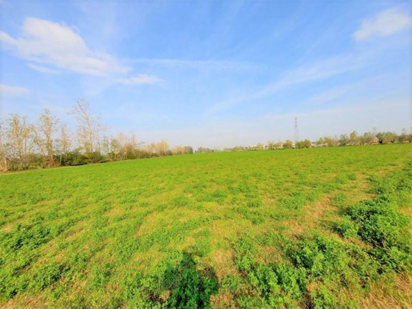 terreno agricolo in vendita a Castiglione delle Stiviere