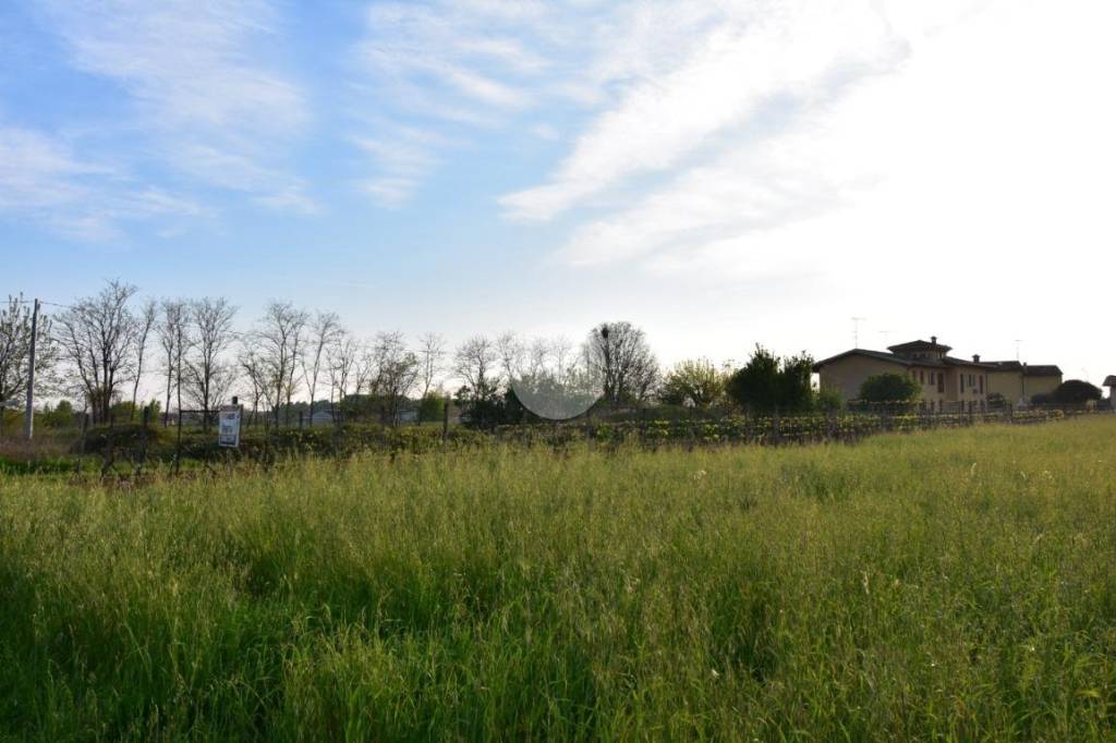 terreno agricolo in vendita a Castiglione delle Stiviere