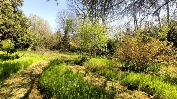 terreno agricolo in vendita a Castiglione delle Stiviere in zona Grole