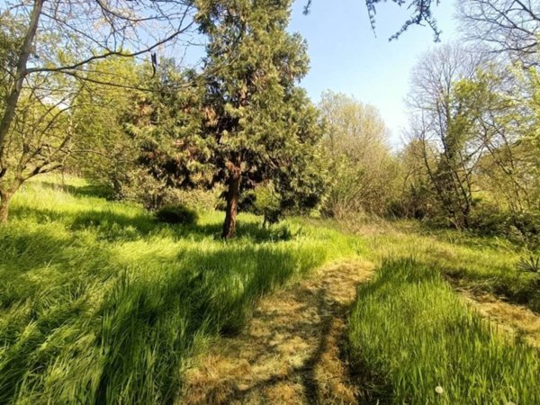 terreno agricolo in vendita a Castiglione delle Stiviere