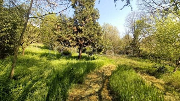 terreno agricolo in vendita a Castiglione delle Stiviere in zona Grole
