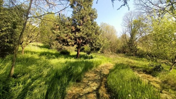 terreno agricolo in vendita a Castiglione delle Stiviere in zona Grole