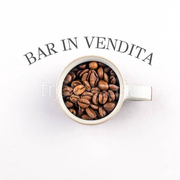 trivano in vendita a Castiglione delle Stiviere
