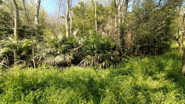 terreno agricolo in vendita a Castiglione delle Stiviere in zona Grole