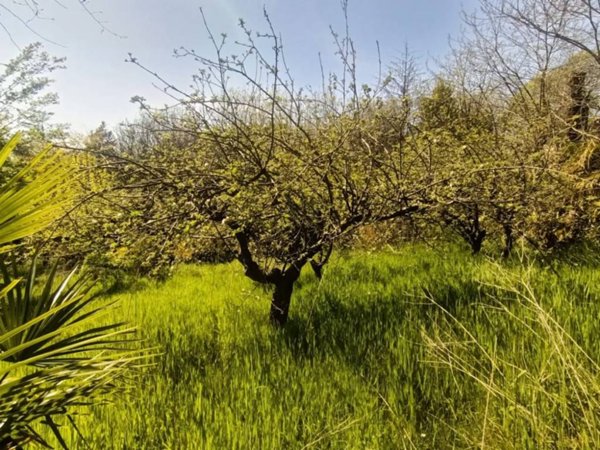 terreno agricolo in vendita a Castiglione delle Stiviere