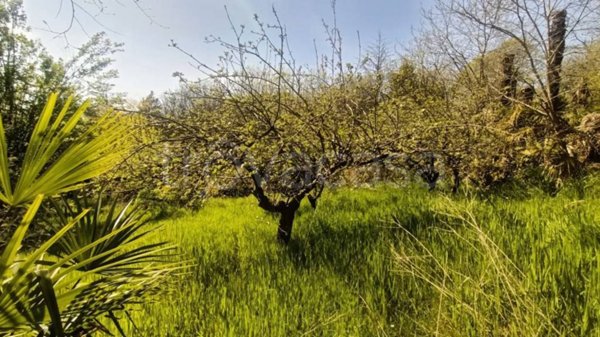 terreno agricolo in vendita a Castiglione delle Stiviere in zona Grole