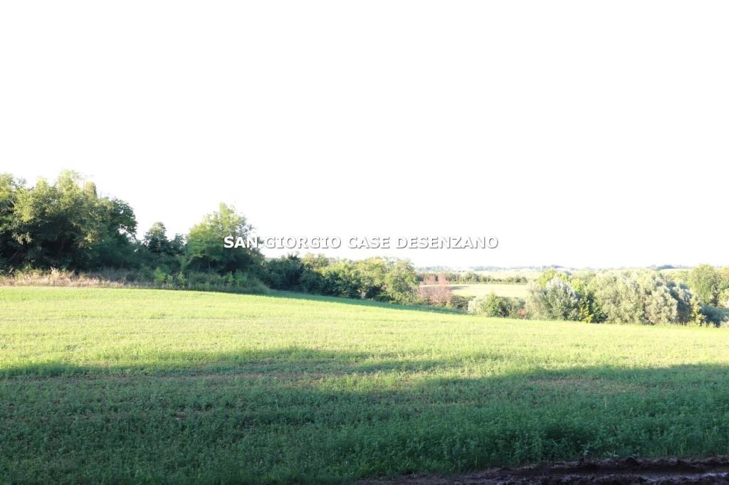terreno agricolo in vendita a Castiglione delle Stiviere