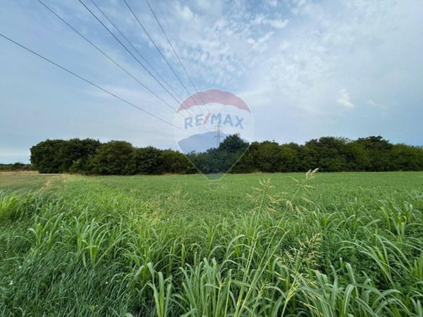 terreno agricolo in vendita a Castiglione delle Stiviere