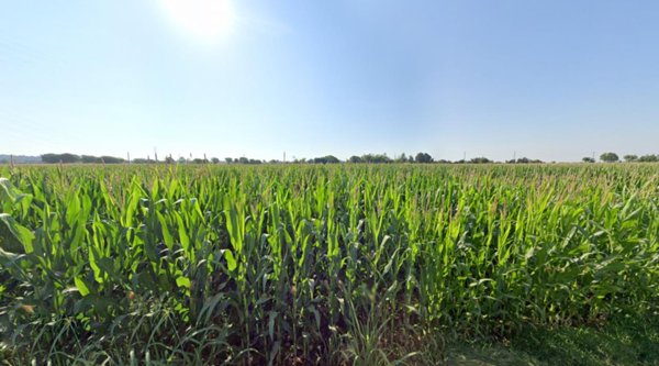 terreno agricolo in vendita a Castiglione delle Stiviere