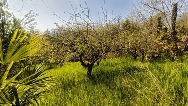 terreno agricolo in vendita a Castiglione delle Stiviere in zona Grole