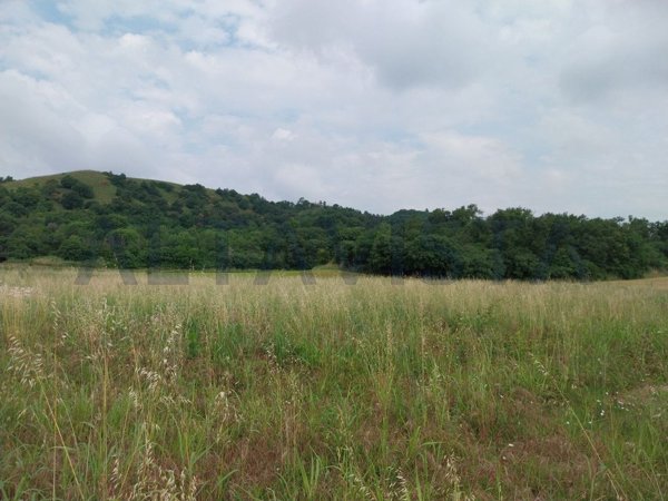 capannone in vendita a Castiglione delle Stiviere