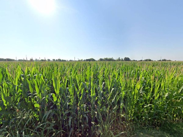 terreno agricolo in vendita a Castiglione delle Stiviere