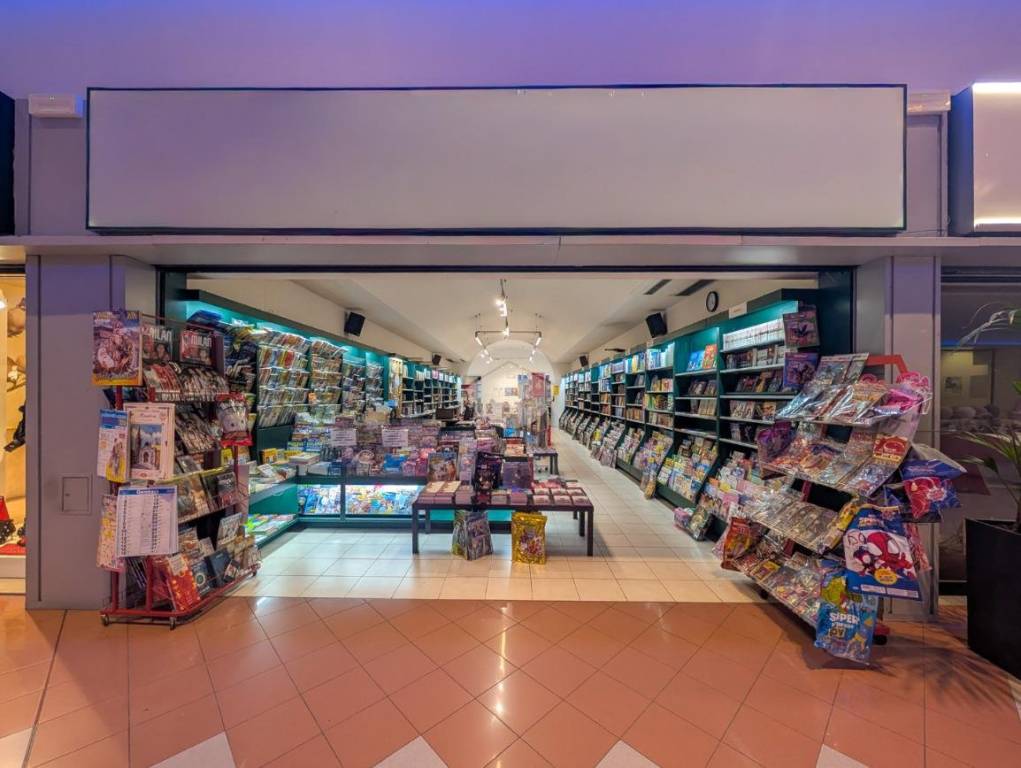 bivano in vendita a Castiglione delle Stiviere