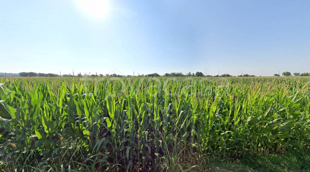 terreno agricolo in vendita a Castiglione delle Stiviere