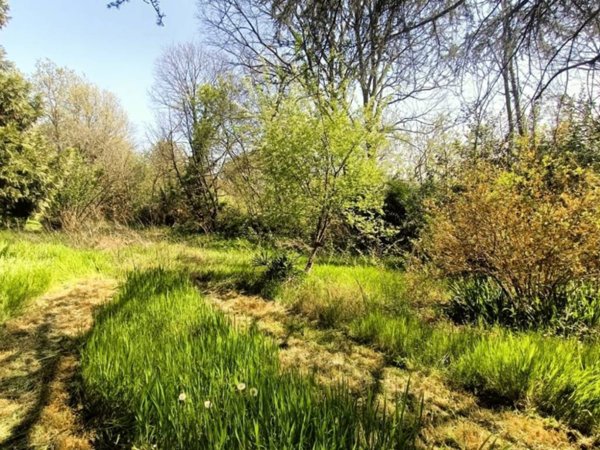 terreno agricolo in vendita a Castiglione delle Stiviere