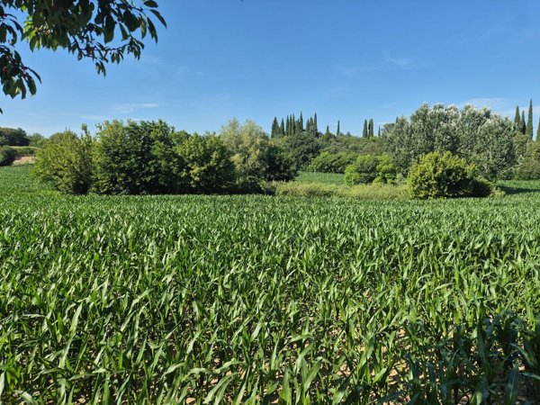 terreno agricolo in vendita a Castiglione delle Stiviere