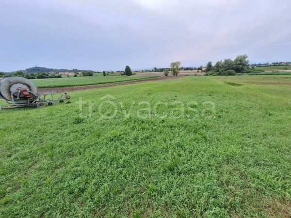 terreno agricolo in vendita a Cavriana