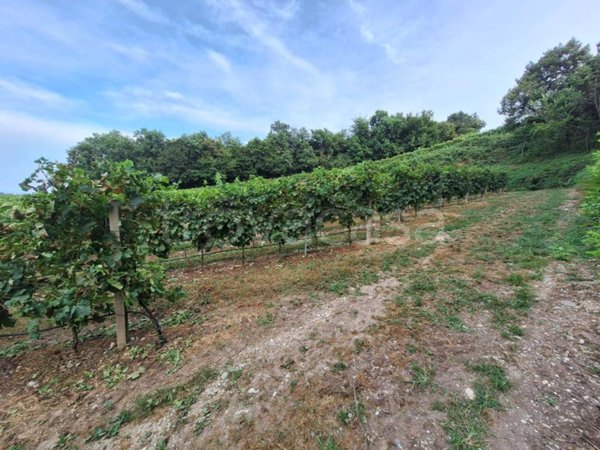 terreno agricolo in vendita a Cavriana