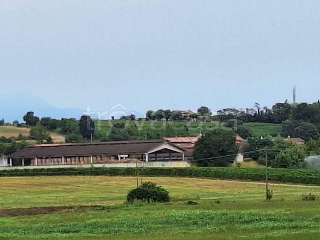 terreno agricolo in vendita a Cavriana